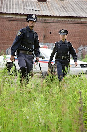 Police Officers Searching Field With Police Dog Foto de stock - Sin royalties Premium, Código: 600-02348062