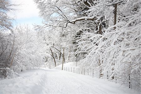 slippery outdoor - Snow Covered Road in Toronto, Ontario, Canada Stock Photo - Premium Royalty-Free, Code: 600-02348543