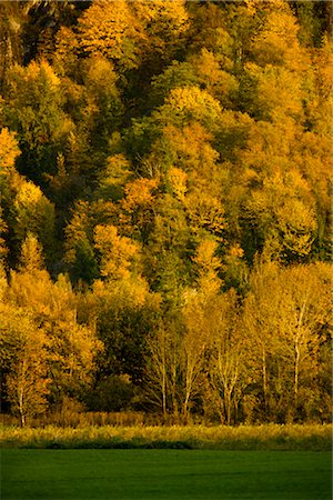 simsearch:700-03451306,k - Herbst-Szene in der Nähe von Hope, British Columbia, Kanada Stockbilder - Premium RF Lizenzfrei, Bildnummer: 600-02376769