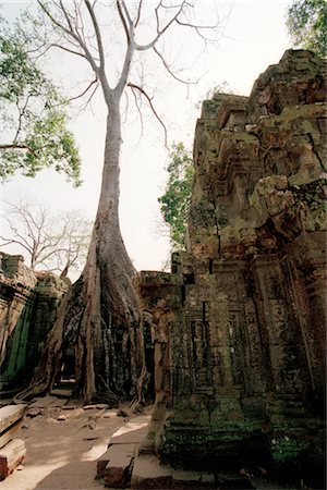 simsearch:600-03445302,k - Angkor Wat, Siem Reap, Cambodia Foto de stock - Sin royalties Premium, Código: 600-02376871