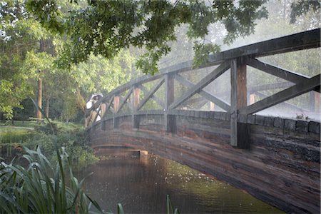 simsearch:600-01276031,k - Wooden Bridge, Jericho Park, Vancouver, BC, Canada Foto de stock - Sin royalties Premium, Código: 600-02376962