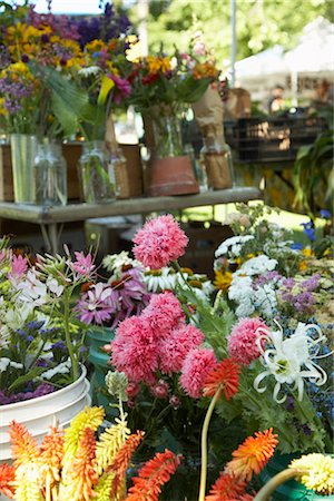 Cut Flowers for Sale at Organic Farmer's Market Foto de stock - Sin royalties Premium, Código: 600-02377080