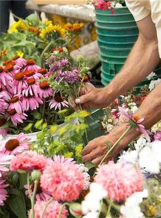 simsearch:600-02377091,k - Fleurs vente du vendeur au marché de l'agriculteur biologique Photographie de stock - Premium Libres de Droits, Code: 600-02377091