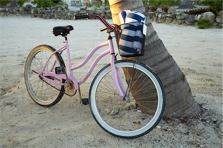 palm tree trunk - Bicycle against Tree on Beach, Belize Stock Photo - Premium Royalty-Free, Code: 600-02377142
