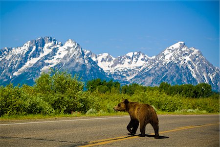 Montagnes de Grand Teton, Wyoming, USA Photographie de stock - Premium Libres de Droits, Code: 600-02371376