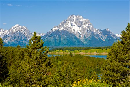 Grand Teton Berge, Wyoming, USA Stockbilder - Premium RF Lizenzfrei, Bildnummer: 600-02371377