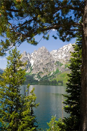 Grand Teton Berge, Wyoming, USA Stockbilder - Premium RF Lizenzfrei, Bildnummer: 600-02371380