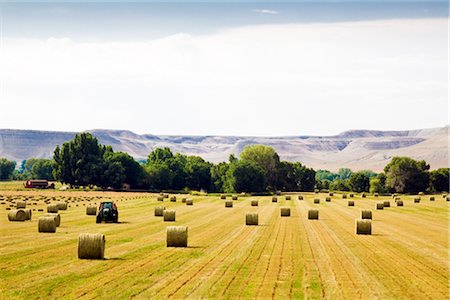 farm stacks hay nobody - Farmland, Wyoming, USA Stock Photo - Premium Royalty-Free, Code: 600-02371383