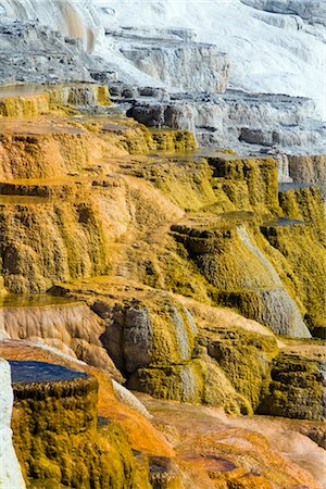 Mammoth Hot Springs, Yellowstone National Park, Wyoming, USA Foto de stock - Sin royalties Premium, Código: 600-02371411