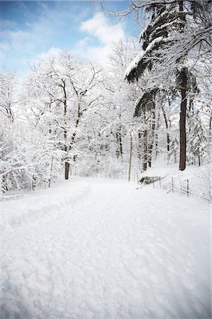 Pathway Covered in Snow, High Park, Toronto, Ontario, Canada Stock Photo - Premium Royalty-Free, Code: 600-02425498
