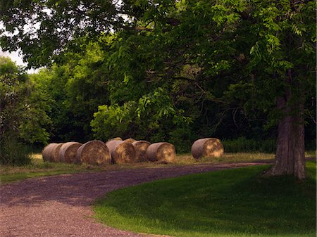 Hay Bales by Road Stock Photo - Premium Royalty-Free, Code: 600-02594198