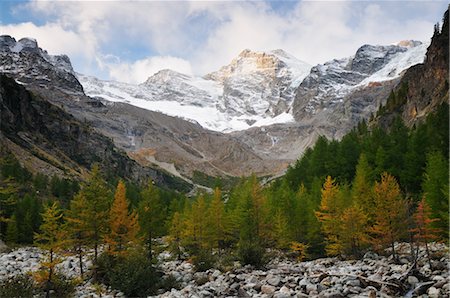 Valnontey, Gran Paradiso National Park, Italy Foto de stock - Sin royalties Premium, Código: 600-02594351