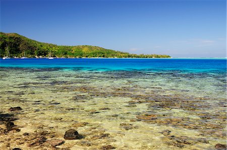 polynésie française - Vue d'ensemble de la baie, Huahine, Polynésie française Photographie de stock - Premium Libres de Droits, Code: 600-02590614