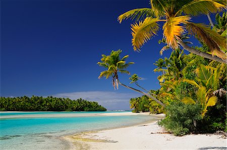 Beach, One Foot Island, Aitutaki Lagoon, Aitutaki, Cook Islands Foto de stock - Sin royalties Premium, Código: 600-02590639