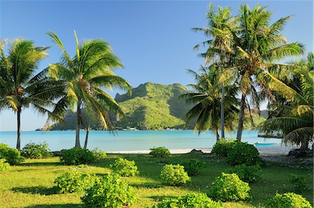 paradise holiday scene - View of Mountain from Island, Maupiti, French Polynesia Stock Photo - Premium Royalty-Free, Code: 600-02590645