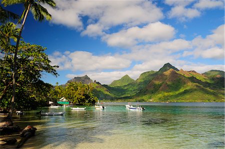 south pacific ocean - Opunohu Bay, Moorea, French Polynesia Stock Photo - Premium Royalty-Free, Code: 600-02590668