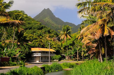 rarotonga - Road by Mountain, Avarua, Rarotonga, Cook Islands, South Pacific Foto de stock - Sin royalties Premium, Código: 600-02590691