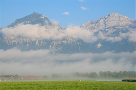 dramatic field - Fog and Mountains, Austria Stock Photo - Premium Royalty-Free, Code: 600-02593874