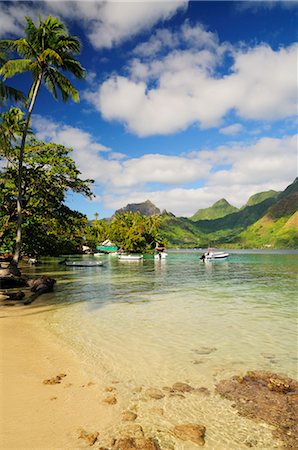 Baie d'Opunohu, Moorea, société îles, Polynésie française, Pacifique Sud Photographie de stock - Premium Libres de Droits, Code: 600-02637402