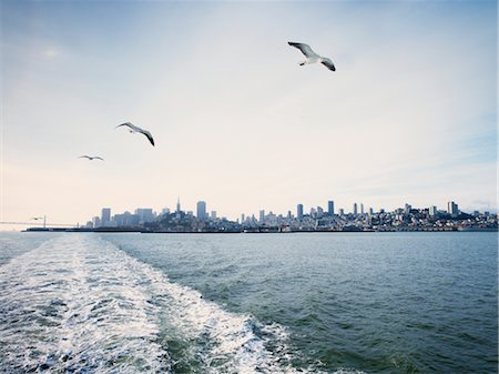 fly seagull - Vue d'ensemble de San Francisco, Californie, USA Photographie de stock - Premium Libres de Droits, Code: 600-02637689