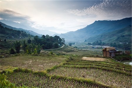 Rice Fields, Sa Pa, Province de Lao Cai, Vietnam Photographie de stock - Premium Libres de Droits, Code: 600-02638027