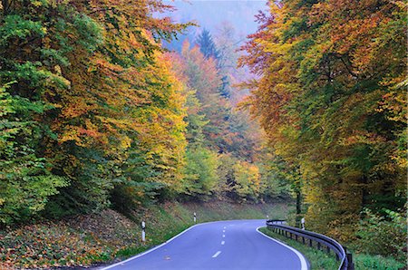 danube valley - Route à travers la forêt, la vallée du Danube, Bade-Wurtemberg, Allemagne Photographie de stock - Premium Libres de Droits, Code: 600-02633508