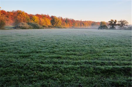 fuerstenfeldbruck - Field and Forest in Autumn, Fuerstenfeldbruck, Bavaria, Germany Foto de stock - Royalty Free Premium, Número: 600-02633500