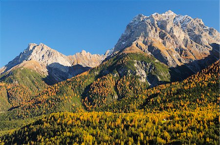Forêts et montagnes, Piz Lischana, Scuol, Suisse Photographie de stock - Premium Libres de Droits, Code: 600-02633512