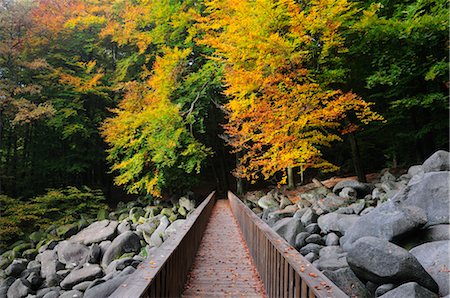 Promenade à travers la pierre courir en forêt, Reichenbach, Odenwald, Hesse, Allemagne Photographie de stock - Premium Libres de Droits, Code: 600-02633535