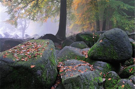 stone piles - Stone Run in Forest, Reichenbach, Odenwald, Hesse, Germany Foto de stock - Sin royalties Premium, Código: 600-02633530