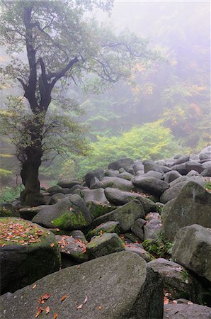 Stone Run in Forest, Reichenbach, Odenwald, Hesse, Germany Stock Photo - Premium Royalty-Free, Code: 600-02633531