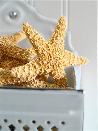 Dried Decorative Starfish Foto de stock - Sin royalties Premium, Código: 600-02669224