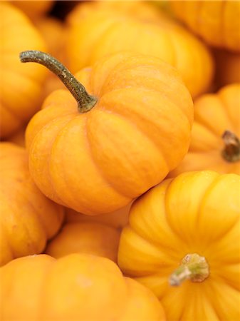 pumpkin - Pile of Miniature Pumpkins Stock Photo - Premium Royalty-Free, Code: 600-02669238