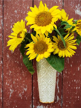 rustic flowers - Sunflowers on Barn Wall Stock Photo - Premium Royalty-Free, Code: 600-02669244