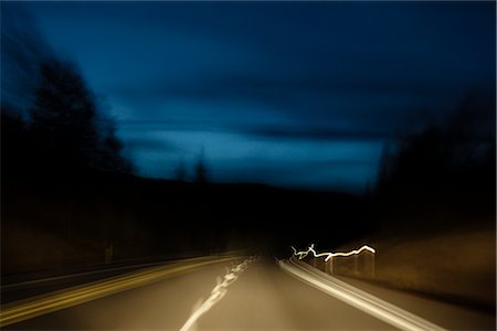 Headlights on Highway, Klamath Falls, Oregon, USA Stock Photo - Premium Royalty-Free, Code: 600-02669394
