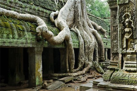 Ta Prohm Temple, Angkor, Cambodia Foto de stock - Sin royalties Premium, Código: 600-02669495