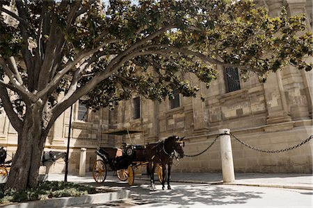 sevilla - Horse Drawn Carriage, Seville, Spain Foto de stock - Sin royalties Premium, Código: 600-02669985