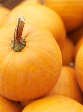 stem vegetable - Close-Up of Miniature Pumpkins Foto de stock - Sin royalties Premium, Código: 600-02686170