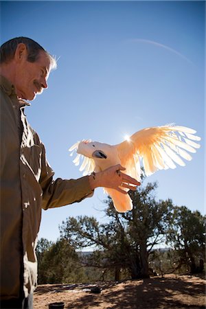 senior and pet - Man Holding Cockatoo at Best Friends Animal Sanctuary, Kanab, Utah Stock Photo - Premium Royalty-Free, Code: 600-02698338