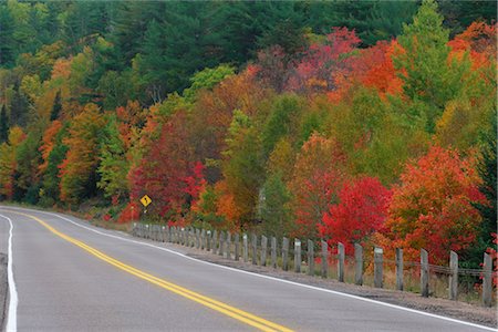 red centre - Route à travers le Parc Provincial Algonquin à l'automne, Ontario, Canada Photographie de stock - Premium Libres de Droits, Code: 600-02691454