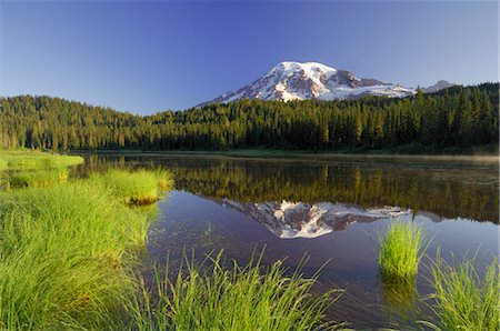 stratovolcano - Mount Rainier, Reflection Lake, Mount Rainier National Park, Pierce County, Cascade Range, Washington, USA Stock Photo - Premium Royalty-Free, Code: 600-02693513