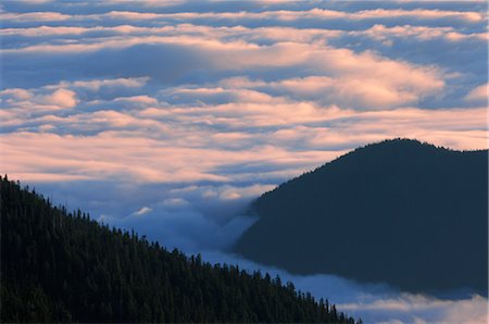simsearch:600-03445402,k - Blick vom Hurrican Ridge, Olympic Nationalpark, Washington, USA Stockbilder - Premium RF Lizenzfrei, Bildnummer: 600-02693524