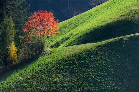 Bozen, Trentino-Alto Adige, Dolomites, South Tyrol, Italy Fotografie stock - Premium Royalty-Free, Codice: 600-02693569