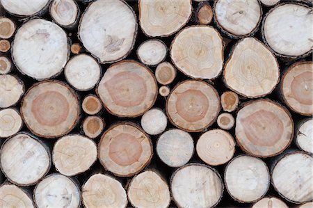 stacked firewood - Stack of Firewood Stock Photo - Premium Royalty-Free, Code: 600-02693622