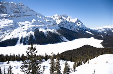 Peyto Lake, Banff National Park, Canadian Rockies, Alberta, Canada Stock Photo - Premium Royalty-Free, Code: 600-02700367