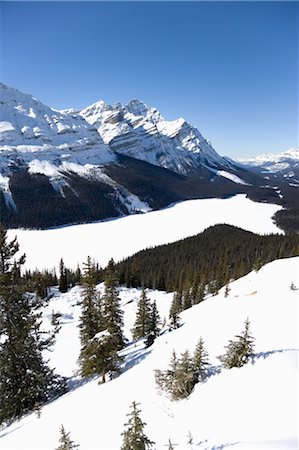Peyto Lake, Banff National Park, Canadian Rockies, Alberta, Canada Fotografie stock - Premium Royalty-Free, Codice: 600-02700368