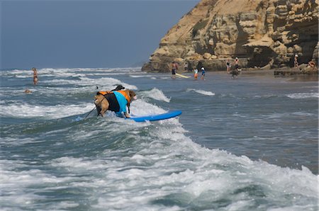 sports humor - Dog Surfing at Surf Dog Surf-A-Thon, Del Mar, California, USA Stock Photo - Premium Royalty-Free, Code: 600-02700873