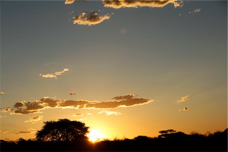 etosha national park - Coucher du soleil dans le Parc National d'Etosha, région de Kunene, Namibie Photographie de stock - Premium Libres de Droits, Code: 600-02700946