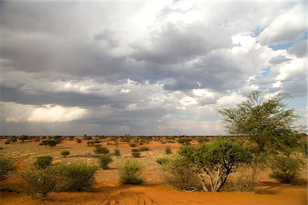 desert cloudy - Hardap, Namibia Foto de stock - Sin royalties Premium, Código: 600-02701003