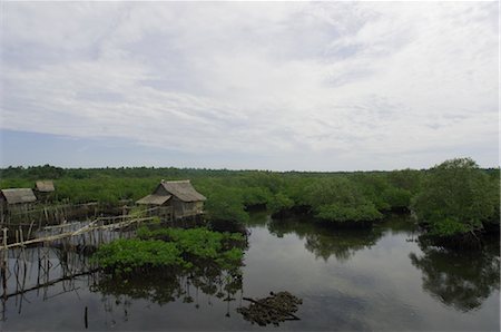 Siargao Island, Surigao del Norte, Mindanao, Philippines Foto de stock - Royalty Free Premium, Número: 600-02738425